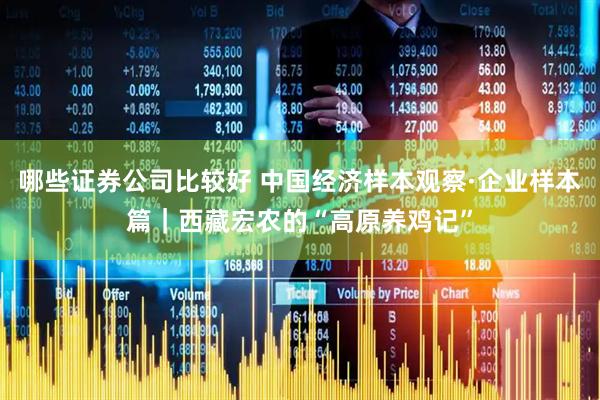 哪些证券公司比较好 中国经济样本观察·企业样本篇｜西藏宏农的“高原养鸡记”